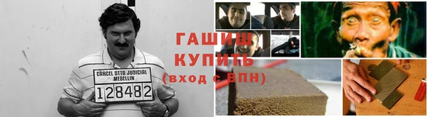 сатива Лагань