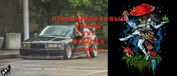 MDMA Premium VHQ Ладушкин