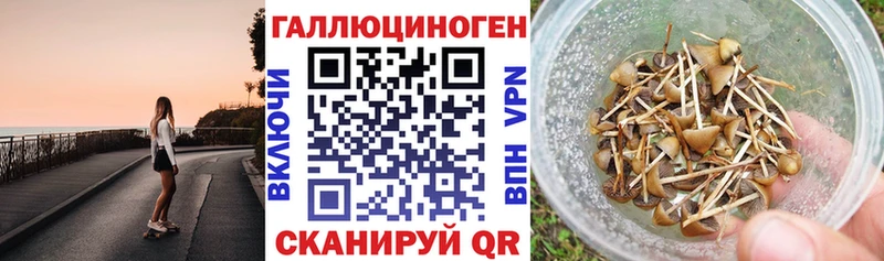 Галлюциногенные грибы Magic Shrooms  Новочебоксарск 